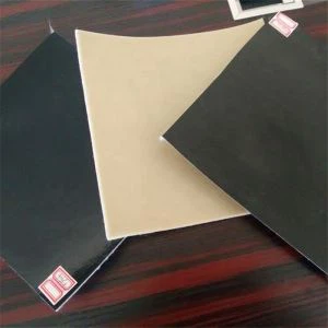 جیوکوموسیٹ جھلی